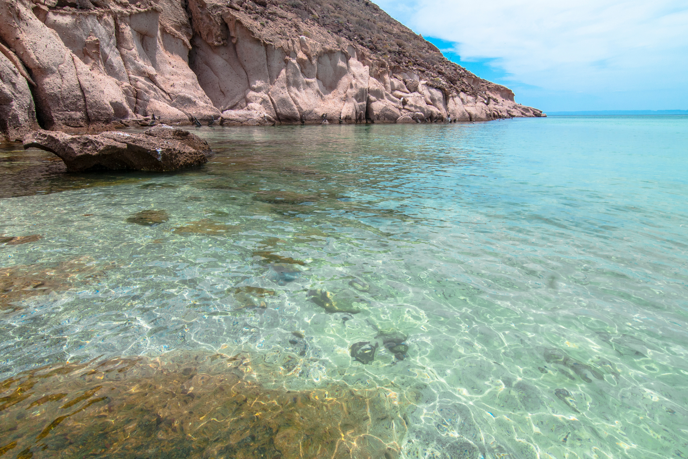 26 isla espíritu santo.webp